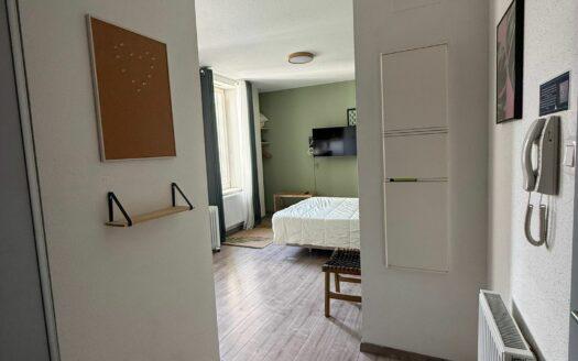 Location appartement meublé 1 pièce 31 m²