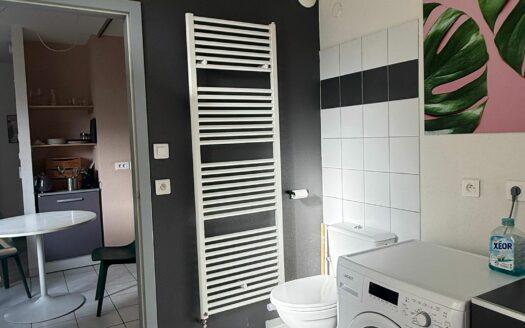 Location appartement meublé 1 pièce 31 m²
