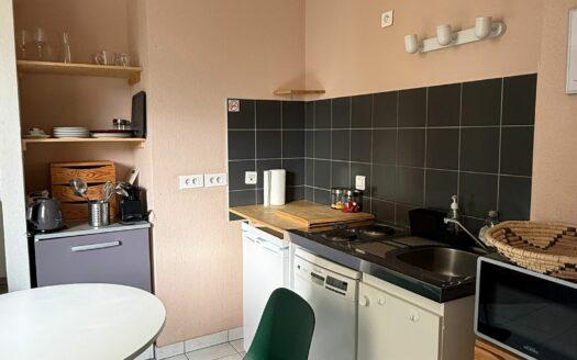 Location appartement meublé 1 pièce 31 m²